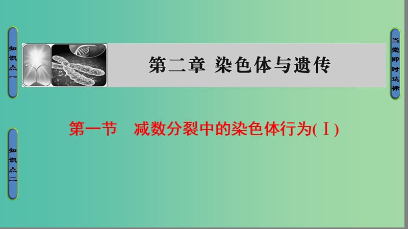 高中生物第2章染色体与遗传第1节减数分裂中的染色体行为Ⅰ课件浙科版.ppt_第1页