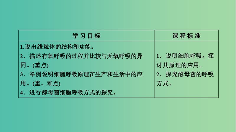 高中生物第五章细胞的能量供应和利用第3节ATP的主要来源--细胞呼吸课件新人教版.ppt_第3页