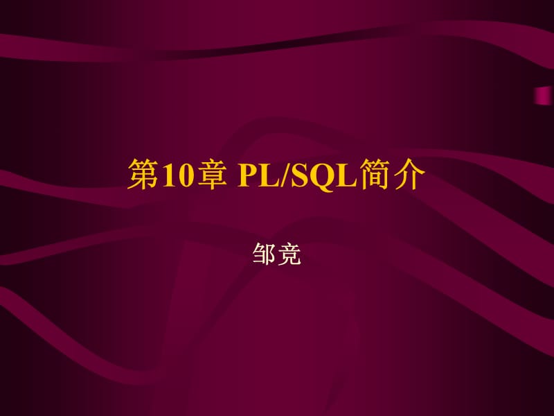 《PLSQL简介》PPT课件.ppt_第2页