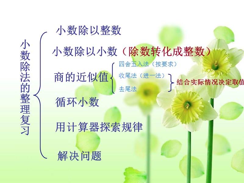 《小数除法复习》PPT课件.ppt_第2页