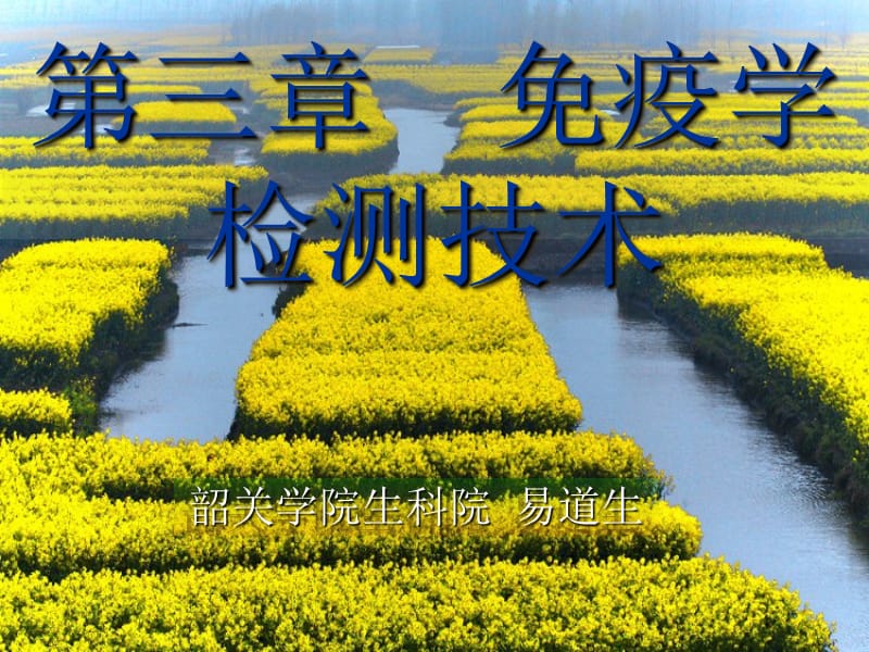 《免疫学检测技术》PPT课件.ppt_第1页