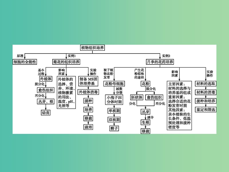 高中生物专题3植物的组织培养技术整合课件新人教版.ppt_第2页