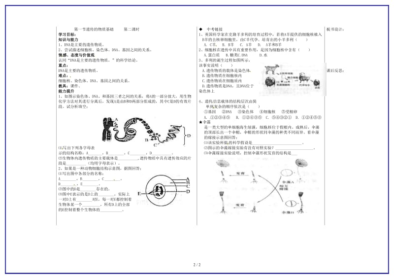 八年级生物上册第四单元第四章第1节《遗传的物质基础》（第2课时）教学案（无答案）济南版.doc_第2页