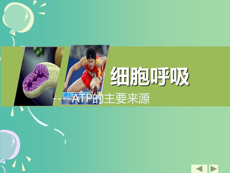 高中生物 4.3 细胞呼吸课件 苏教版必修1.ppt_第1页