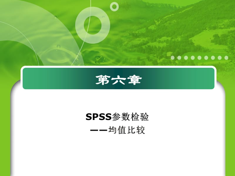 《SPSS参数检验》PPT课件.ppt_第1页