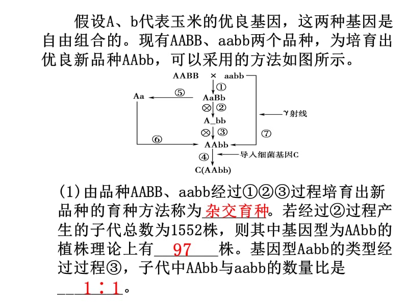 《現(xiàn)代生物進化理論的由來》.ppt_第1頁