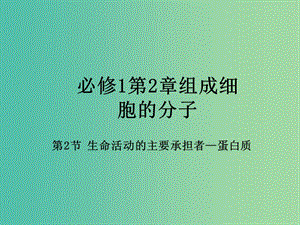 高中生物 專題2.2 生命活動的主要承擔者-蛋白質(zhì)課件 新人教版必修1.ppt