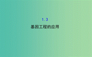 高中生物 探究導(dǎo)學(xué)課型 專題1 基因工程 1.3 基因工程的應(yīng)用同課異構(gòu)課件 新人教版選修3.ppt