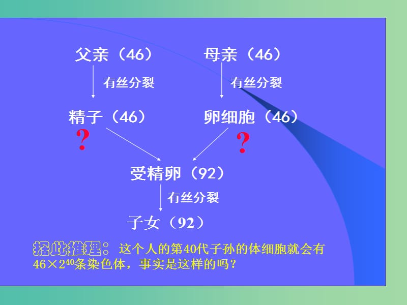 高中生物 2.1 减数分裂课件 苏教版必修2.ppt_第3页