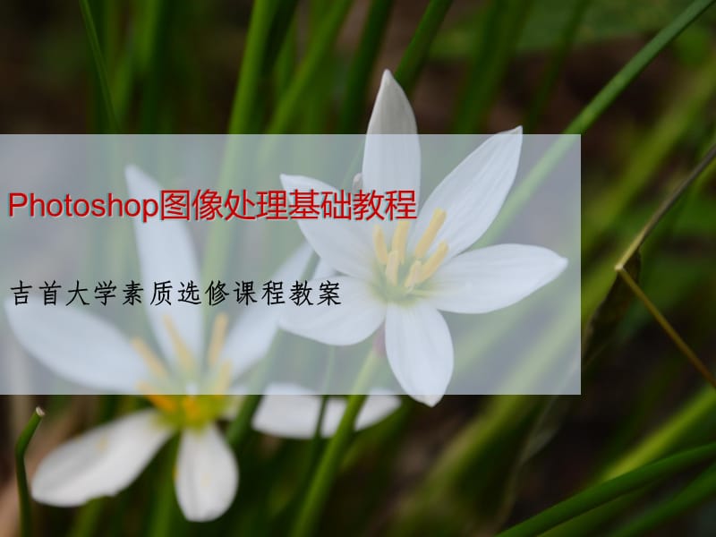 Photoshop图像处理教程.ppt_第1页