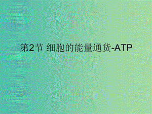 高中生物《52 細胞的能量通貨 ATP》課件 新人教版必修1.ppt