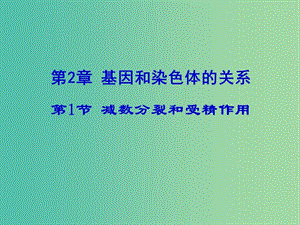 高中生物 2.1 減數(shù)分裂課件2 新人教版必修.ppt