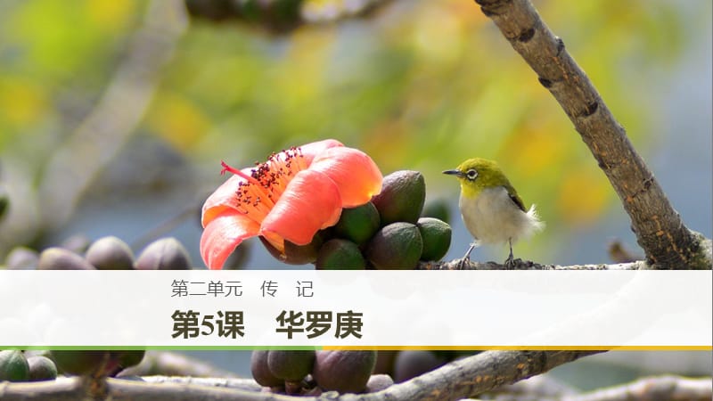 2018-2019版高中語(yǔ)文 第二單元 傳記 第5課 華羅庚課件 粵教版必修1.ppt_第1頁(yè)