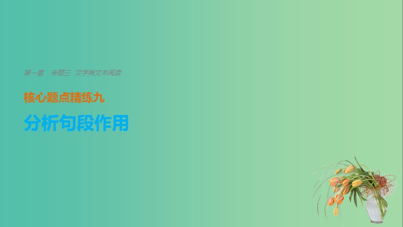 高考语文二轮复习考前三个月第一章核心题点精练专题三文学类文本阅读精练九分析句段作用课件.ppt_第1页