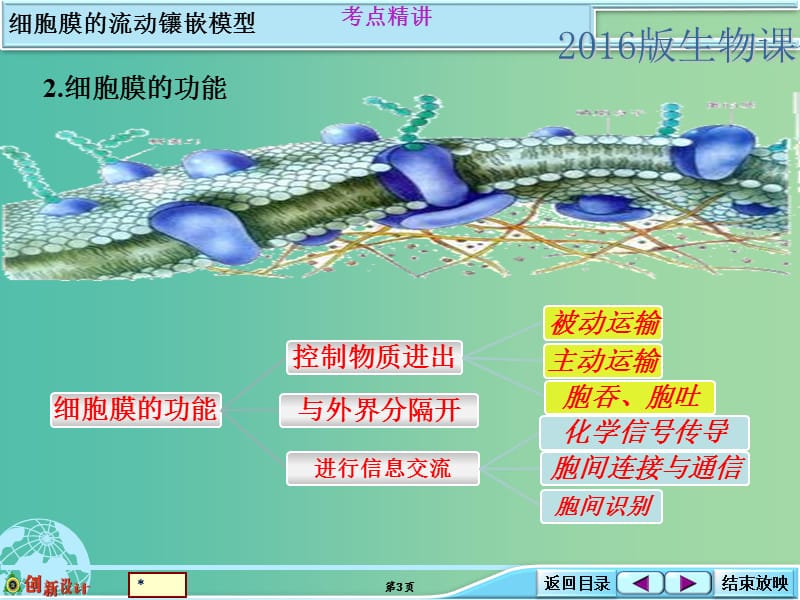 高考生物总复习 1-2-2细胞膜的流动镶嵌模型强化类课件 新人教版.ppt_第3页