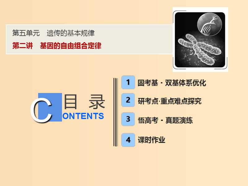 2019版高考生物一轮复习 第五单元 遗传的基本规律 第二讲 基因的自由组合定律课件 苏教版.ppt_第1页