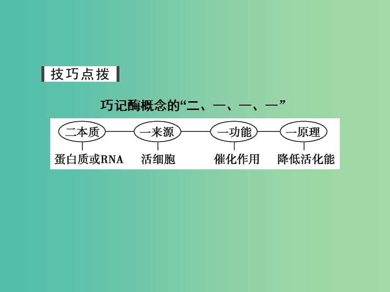 高考生物一轮复习 第三单元 细胞的能量供应和利用 第8讲 酶的本质、特性及相关实验探究课件.ppt_第3页