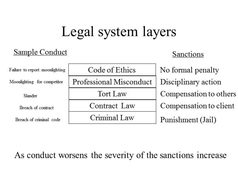 《项目管理合同法》PPT课件.ppt_第3页