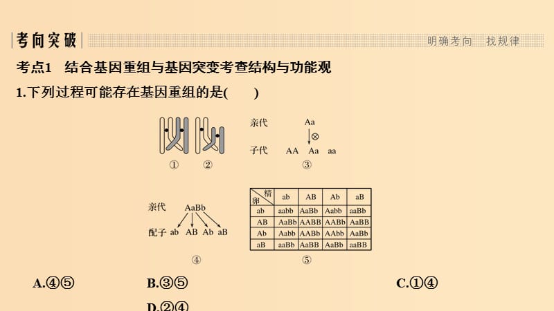 2019版高考生物总复习 第二部分 选择题必考五大专题 专题四 生物的变异与进化 第7讲 生物的变异课件.ppt_第3页