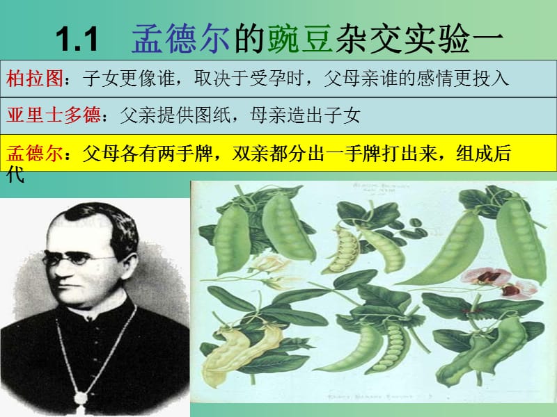 江西省南昌市高中生物 第一章 遺傳因子的發(fā)現(xiàn) 1.1 孟德?tīng)柕耐愣闺s交實(shí)驗(yàn)課件 新人教版必修2.ppt_第1頁(yè)