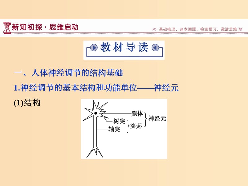 2018-2019学年高中生物 第二章 生物个体的稳态 第二节 人体生命活动的调节（一）课件 苏教版必修3.ppt_第3页