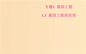 2018-2019學年高中生物 專題1 基因工程 1.3 基因工程的應(yīng)用課件 新人教版選修3.ppt