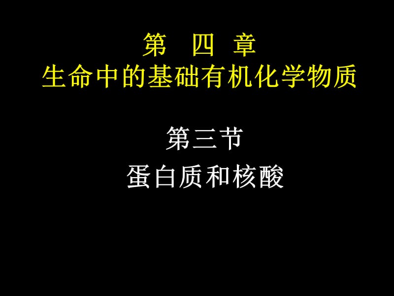 《蛋白質(zhì)和核酸》PPT課件.ppt_第1頁