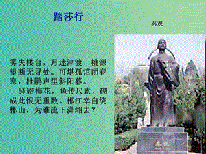 江蘇省響水中學(xué)高中語(yǔ)文 第十專題 踏莎行課件 蘇教版選修《唐詩(shī)宋詞選讀》.ppt