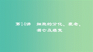 2019高考生物一輪復(fù)習(xí) 第14講 細(xì)胞的分化、衰老、凋亡及癌變課件.ppt