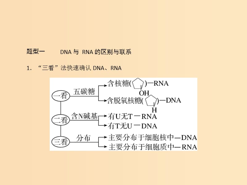 2019版高考生物一轮总复习 第2章 组成细胞的分子 小专题一 四大有机物的综合考查课件 必修1.ppt_第2页