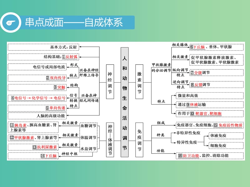 2019高考生物二轮复习 专题四 调节 第1讲 内环境稳态及调节 第Ⅰ课时 基础自查——学生为主体 抓牢主干以不变应万变课件.ppt_第3页