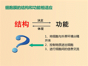 2018-2019學(xué)年高中生物 專題13 生物膜的流動(dòng)鑲嵌模型課件 新人教版必修1.ppt