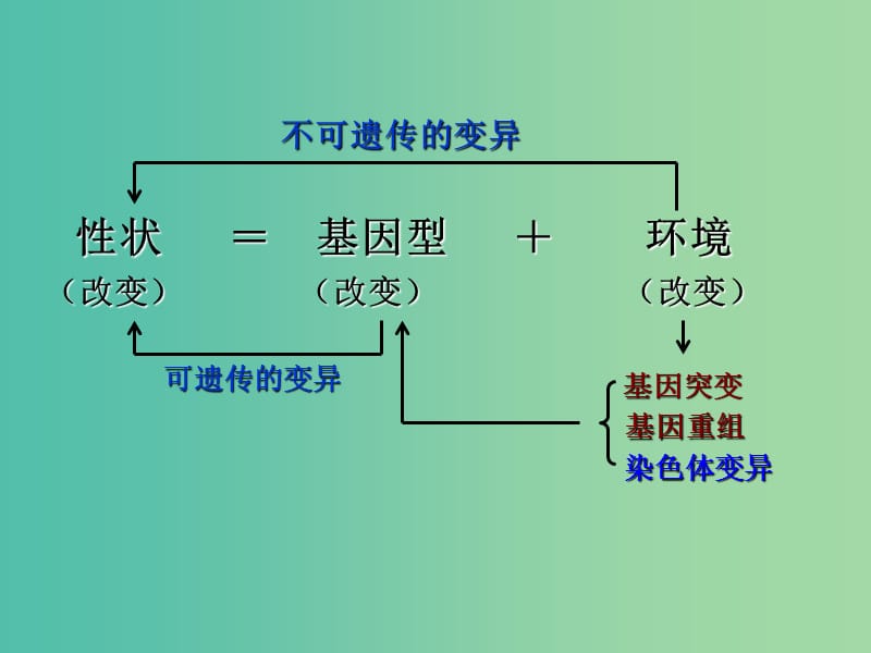 内蒙古乌兰察布市高考生物总复习 专题 变异、育种、进化课件.ppt_第3页