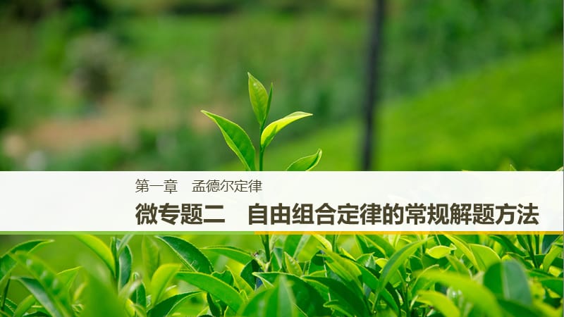 通用版2018-2019版高中生物第一章孟德尔定律微专题二自由组合定律的常规解题方法课件浙科版必修2 .ppt_第1页