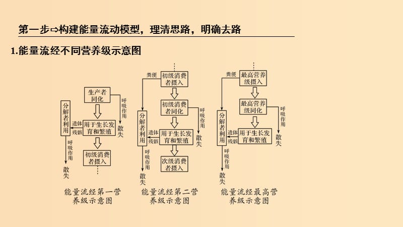 2019版高考生物大一轮复习第八单元生物个体的稳态补上一课6课件苏教版.ppt_第3页