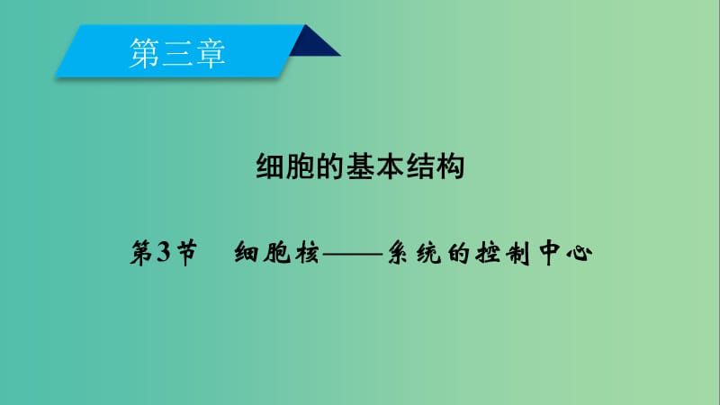 2019版高中生物第三章细胞的基本结构第3节细胞核--系统的控制中心课件新人教版必修1 .ppt_第2页