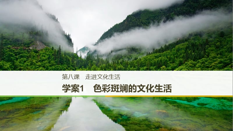 2017-2018学年高中政治 第四单元 发展中国特色社会主义文化 第八课 走进文化生活 1 色彩斑斓的文化生活课件 新人教版必修3.ppt_第1页