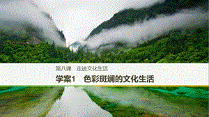 2017-2018學年高中政治 第四單元 發(fā)展中國特色社會主義文化 第八課 走進文化生活 1 色彩斑斕的文化生活課件 新人教版必修3.ppt