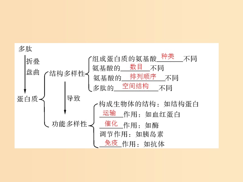 2019版高考生物一轮总复习 第2章 组成细胞的分子 第2节 生命活动的主要承担者——蛋白质课件 必修1.ppt_第3页