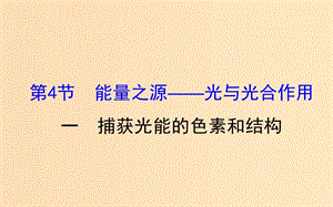 2018-2019學(xué)年高中生物 第五章 細(xì)胞的能量供應(yīng)和利用 第四節(jié) 能量之源--光與光合作用 5.4.1課件 新人教版必修1.ppt