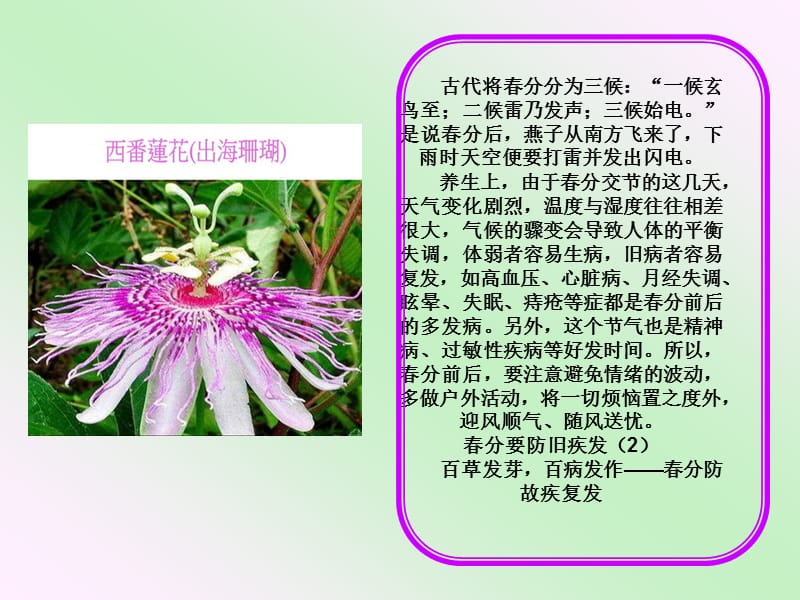 二十四节气04-春分养生篇.ppt_第3页