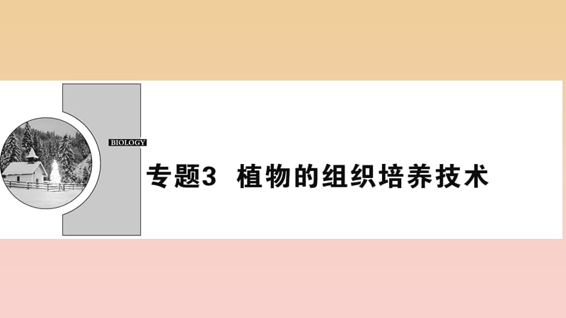 2017-2018學年高中生物 專題3 植物的組織培養(yǎng)技術(shù) 課題1 菊花的組織培養(yǎng)課件 新人教版選修1 .ppt_第1頁