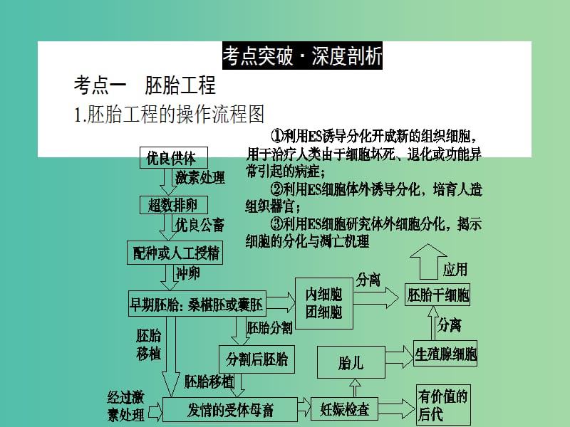 高考生物二轮专题复习 专题十七 胚胎工程、生物技术的安全性和伦理问题、生态工程课件.ppt_第2页