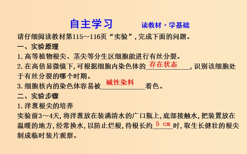 2018版高中生物 第6章 细胞的生命历程 第1节 细胞的增殖 第2课时 实验 观察根尖分生组织细胞的有丝分裂课件 新人教版必修1.ppt_第3页