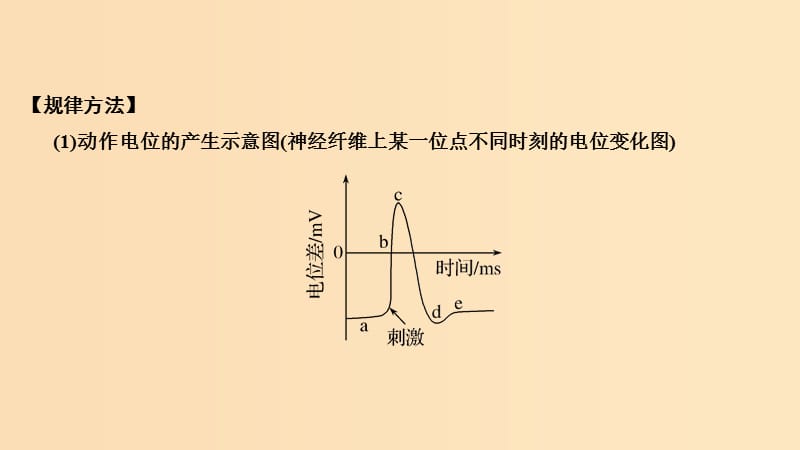 2019版高考生物总复习 第二部分 选择题必考五大专题 专题五 生命活动的调节 重点题型4 动作电位的产生与传导图课件.ppt_第2页