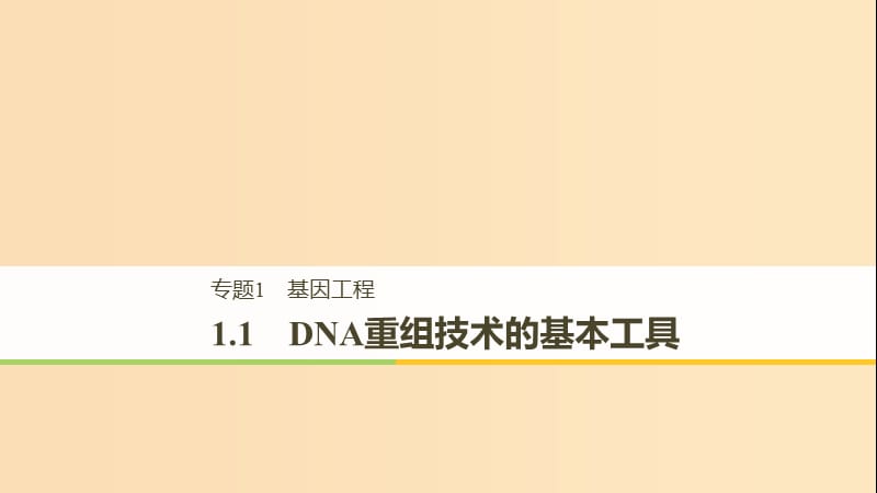 2018-2019学年高中生物专题1基因工程1.1DNA重组技术的基本工具课件新人教版选修.ppt_第1页