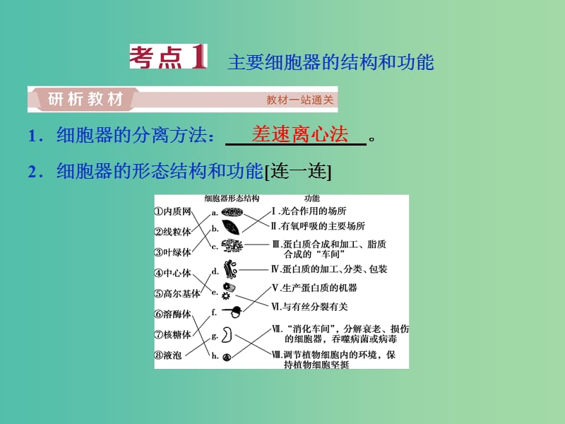 2019届高考生物一轮复习 第二单元 细胞的结构和物质运输 第6讲 细胞器——系统内的分工合作课件.ppt_第3页