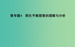 2019高考化學(xué)二輪復(fù)習(xí) 微專題4 陌生平衡圖像的理解與分析課件.ppt