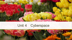 2018-2019版高中英语 Unit 4 Cyberspace Vocabulary Breakthrough课件 北师大版必修2.ppt