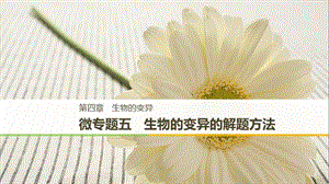 2018-2019學(xué)年高中生物 第四章 生物的變異 微專題五 生物的變異的解題方法課件 浙科版必修2.ppt